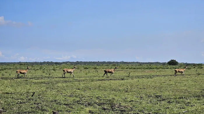 Baluran National Park 9