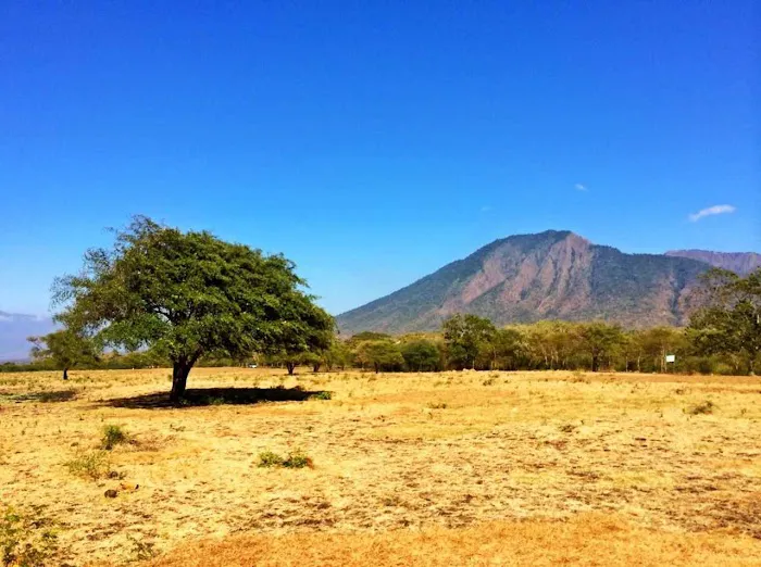 Baluran National Park 2