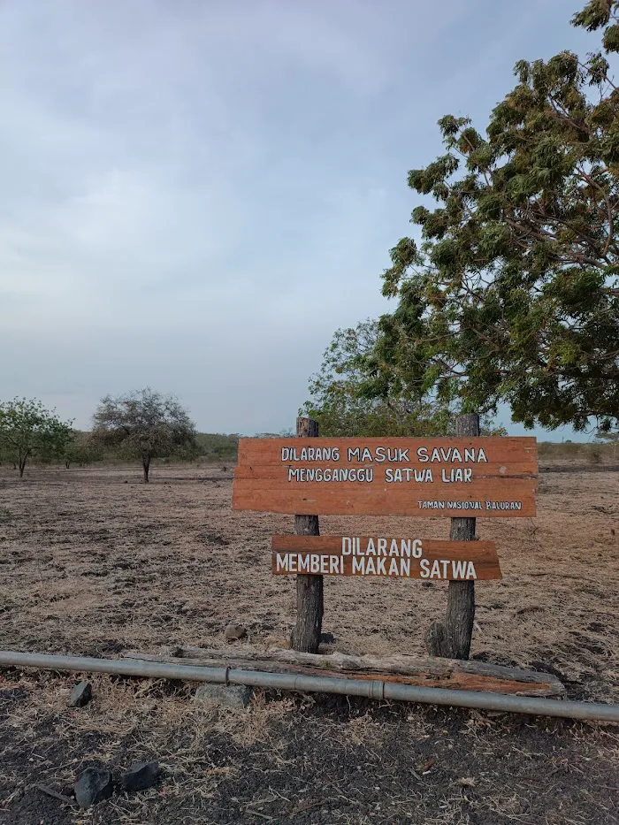 Baluran National Park 1