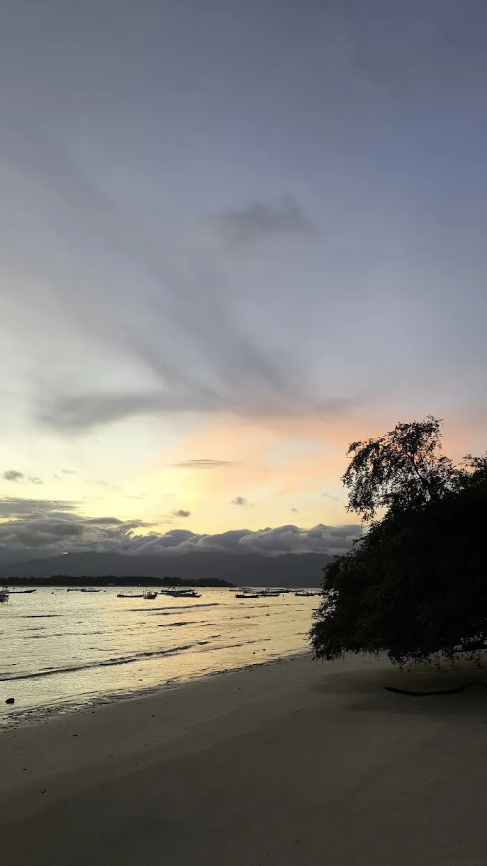 Turtle point 8