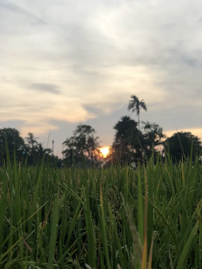 Pantai Tenjeng Setonggak 6