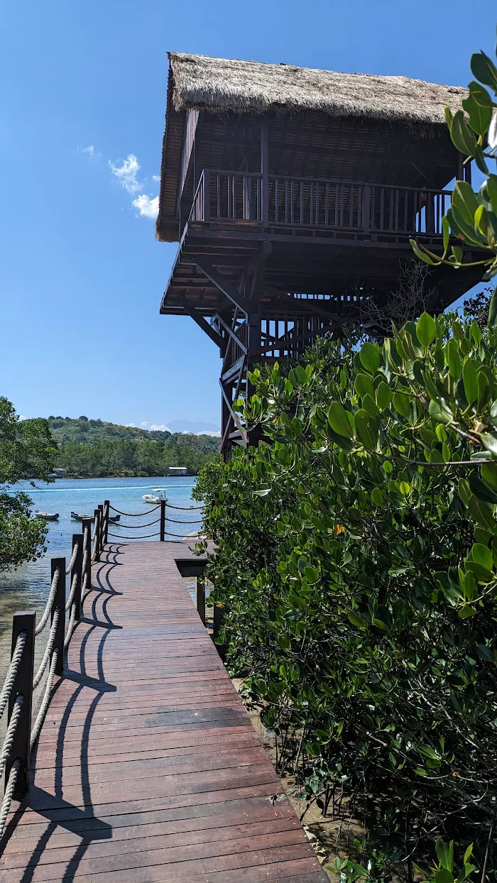 Lookout Trek Mangrove 0