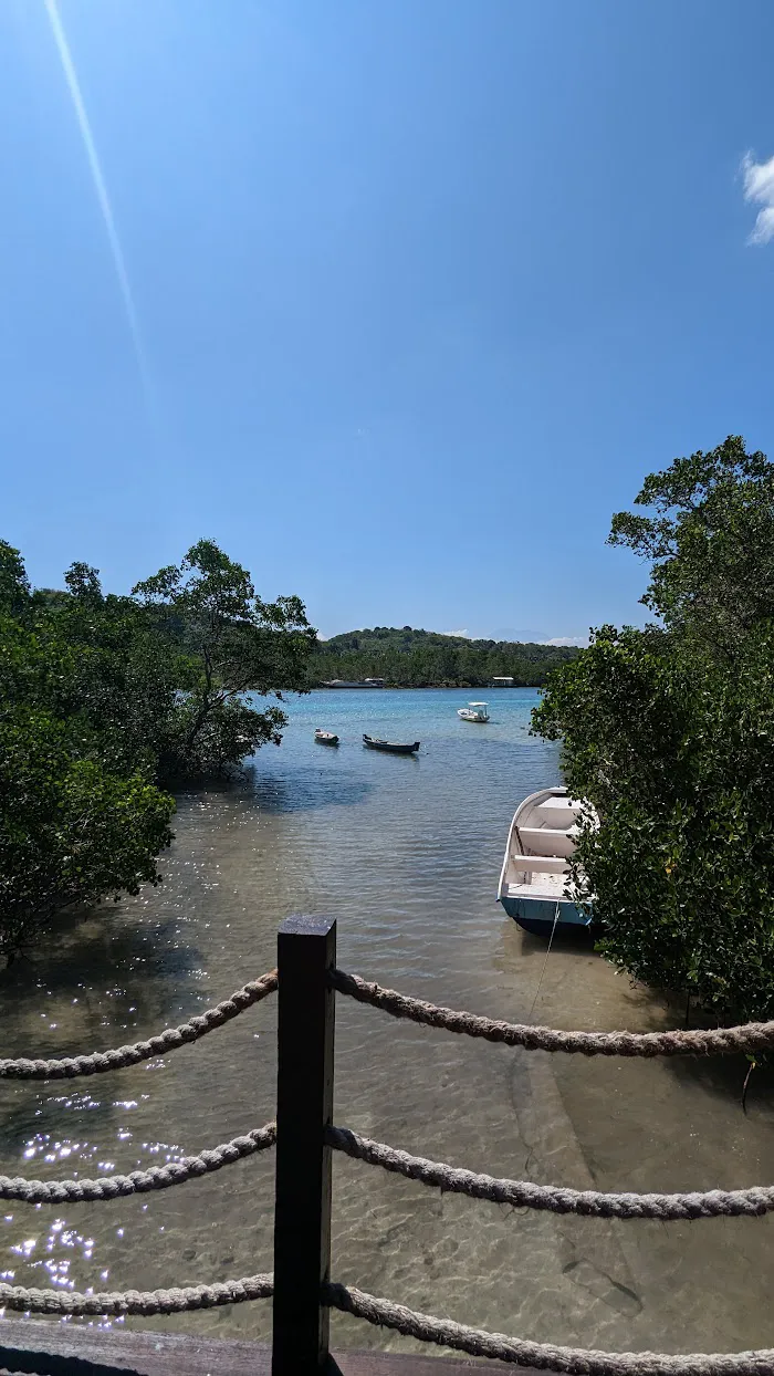 Lookout Trek Mangrove 4