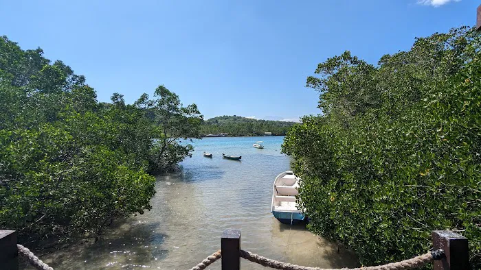 Lookout Trek Mangrove 8