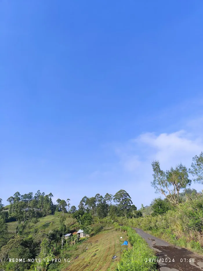 Bukit Trunyan Bali 7