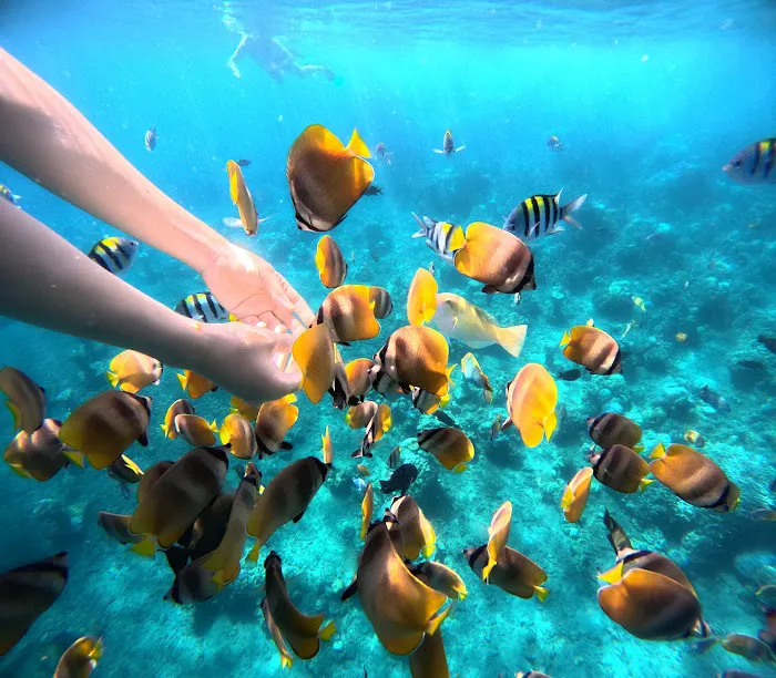 Jemeluk Bay snorkelling spot 9