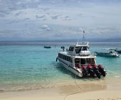 mushroom beach snorkeling point