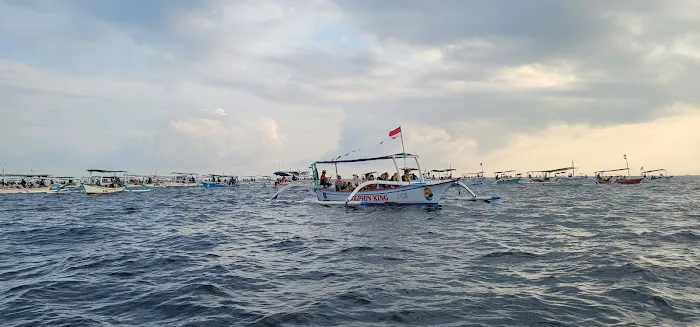Masih ada dolphin 0