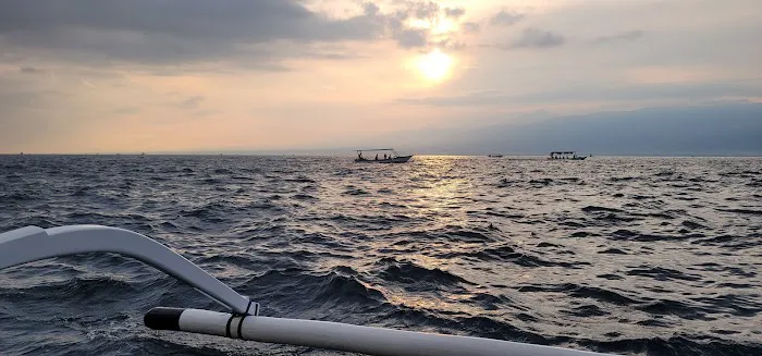 Masih ada dolphin 1