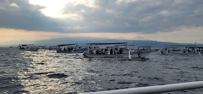 Masih ada dolphin 3