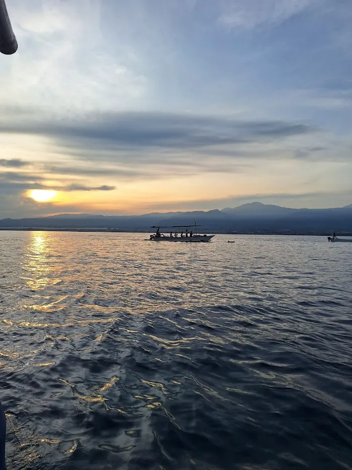Masih ada dolphin 4