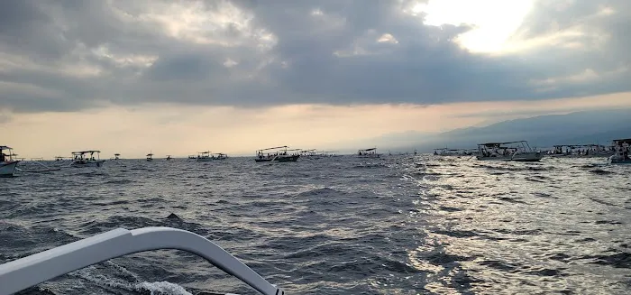 Masih ada dolphin 2