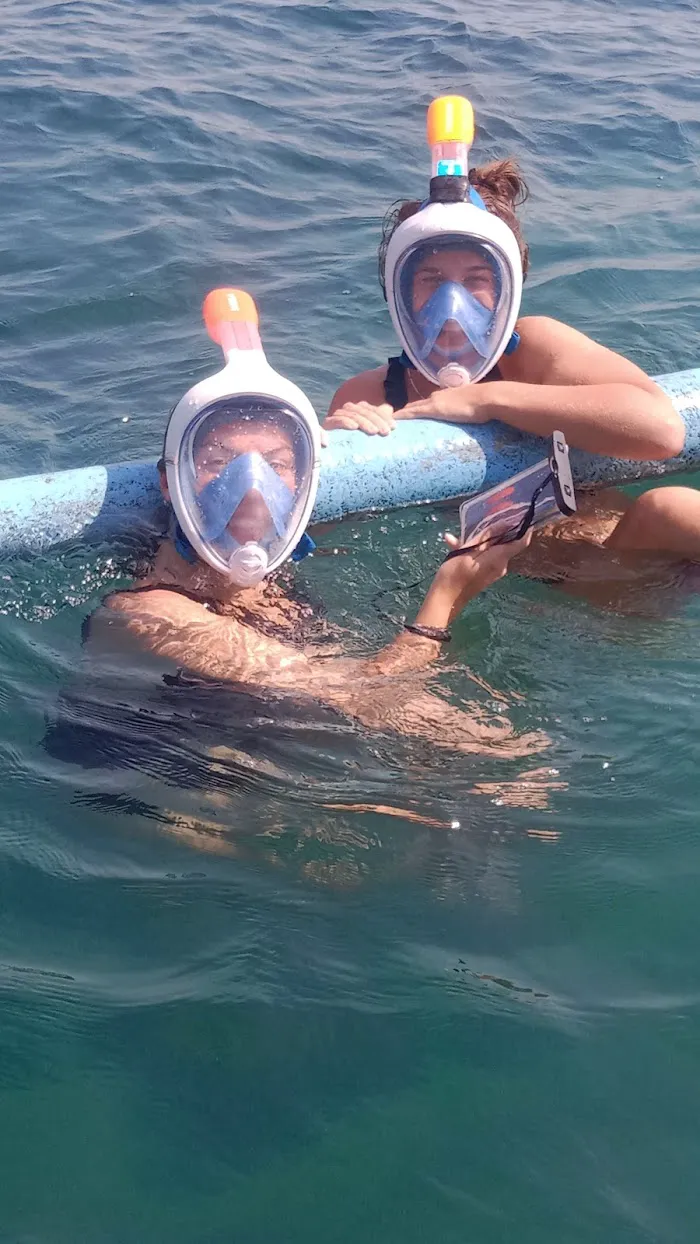 Made Lovina Dolphin 0