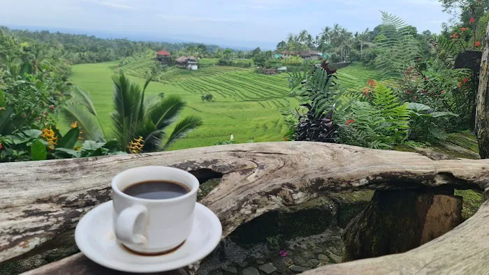 Belimbing Rice Terraces 2
