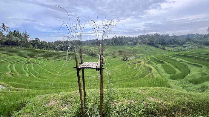 Belimbing Rice Terraces 3