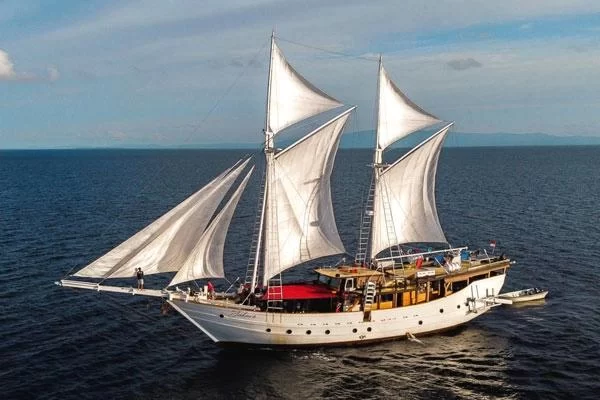 Deep-Sea Diving Equipment Rentals on an Indonesia Cruise