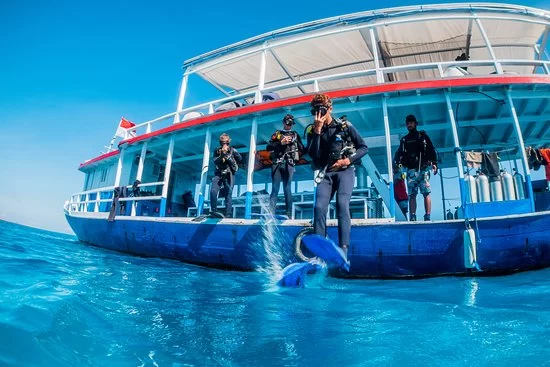 Discover Indonesia’s Marine Life Through Yacht Tours: A Journey Into Underwater Wonders