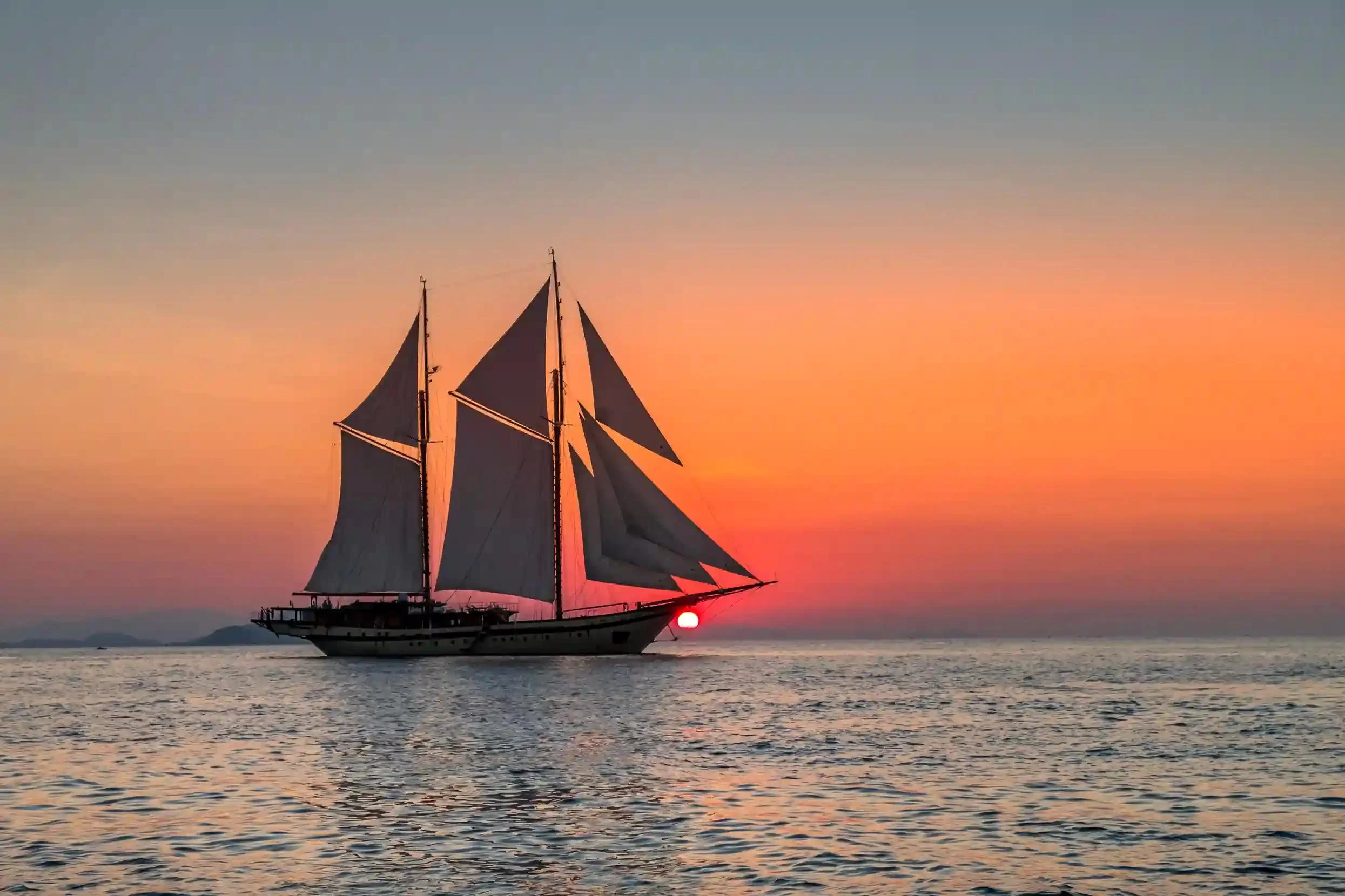 Discover Indonesia’s Marine Life Through Yacht Tours: A Unique Underwater Adventure