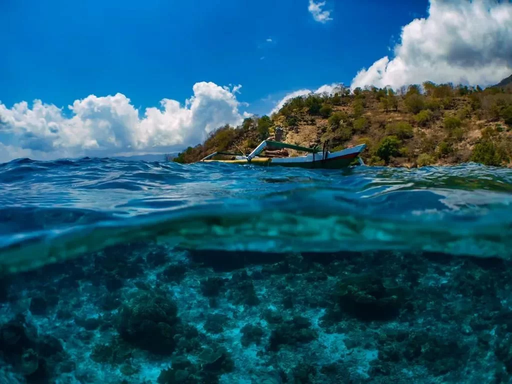Experience the Rich Culture of Alor Islands at a Festival Cruise