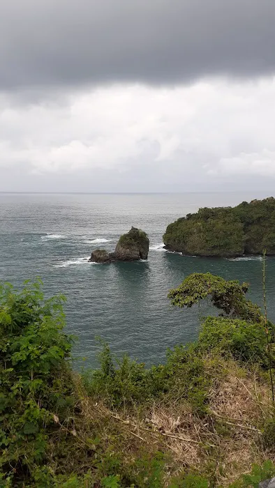 Pantai Licin 0