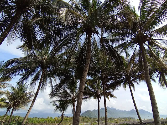 Pantai Bulu 4
