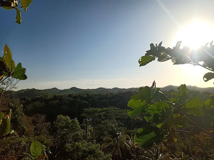 Bukit Nuri 4