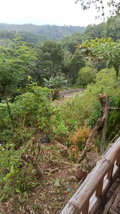 Bukit Nuri 9