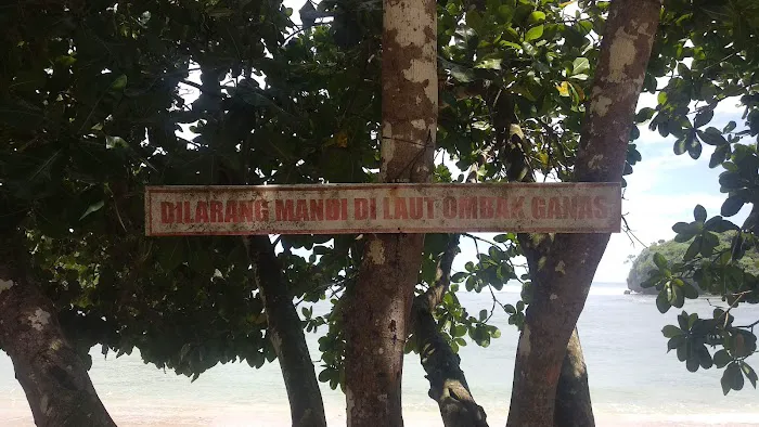 Pulau Selok ꦥꦸꦭꦺꦴꦱꦺꦭꦺꦴꦏ꧀ 0