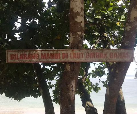Pulau Selok ꦥꦸꦭꦺꦴꦱꦺꦭꦺꦴꦏ꧀
