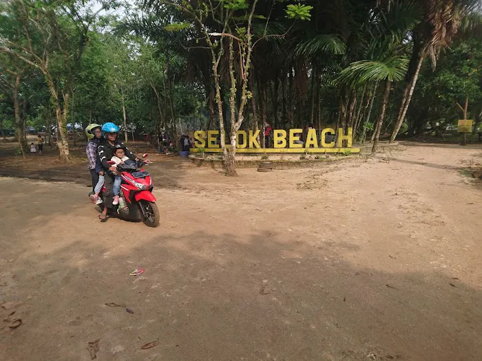 Pulau Selok ꦥꦸꦭꦺꦴꦱꦺꦭꦺꦴꦏ꧀ 6