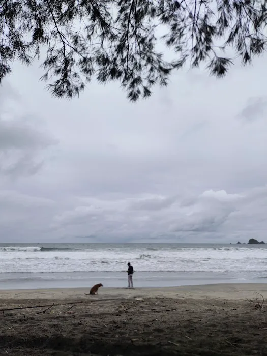 Pantai Jolosutro 2