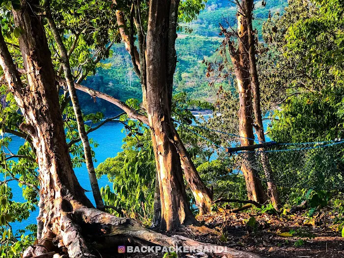 Bukit Jhondol 7