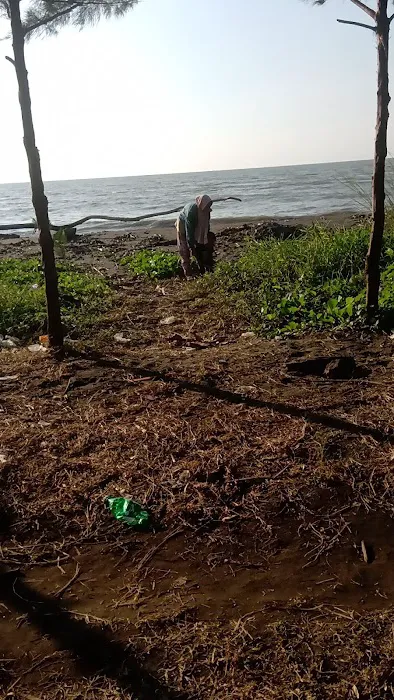 Pantai Jungsemi 3