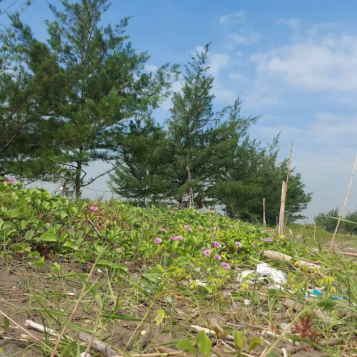 Pantai Kemejing Jungsemi 5