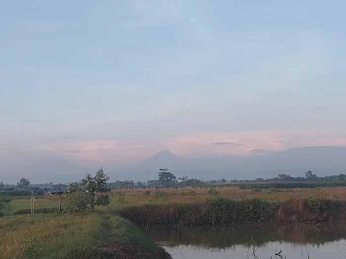 Pantai Kemejing Jungsemi 4