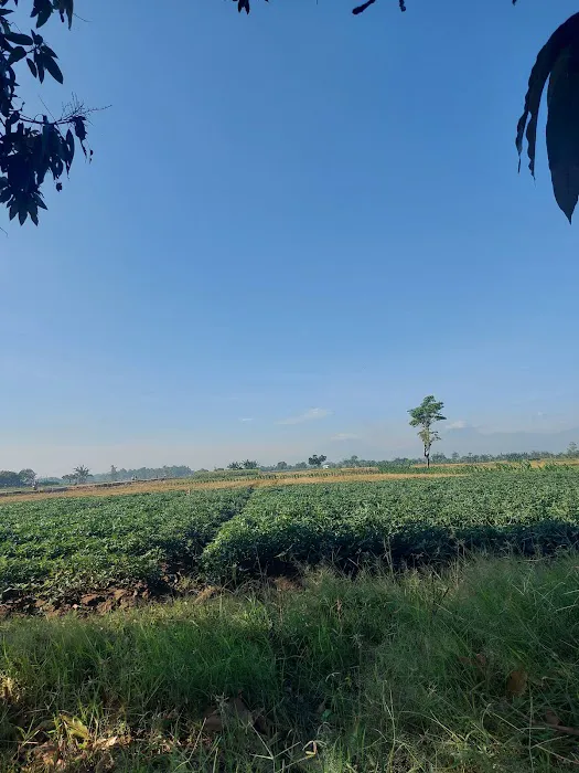 Pantai Kemejing Jungsemi 2