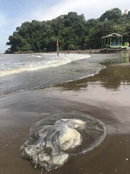 Pantai Ujungnegoro 1