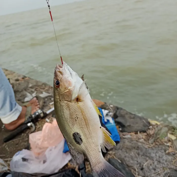 Pantai Ucil Pelabuhan Kaliwungu 2