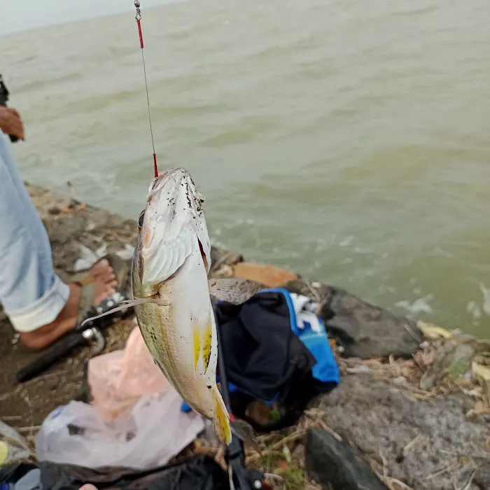 Pantai Ucil Pelabuhan Kaliwungu 4