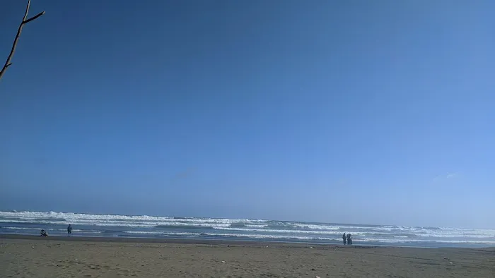 Pantai cemara sewu jetis cilacap 6