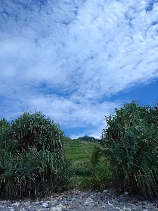 Pantai Sekar Hastina 4