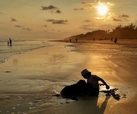 Pantai Sidayu Indah