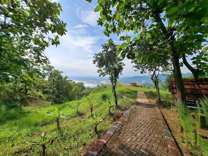 Wanalela Forest 0