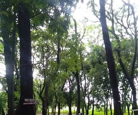 Spring Travel Sampang