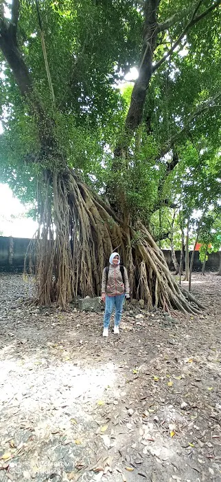 Spring Travel Sampang 2