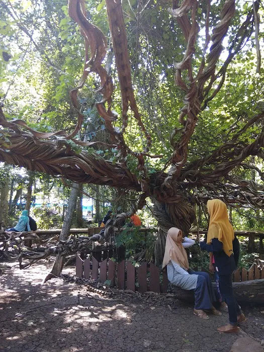 Wisata Akar Langit Trinil 5