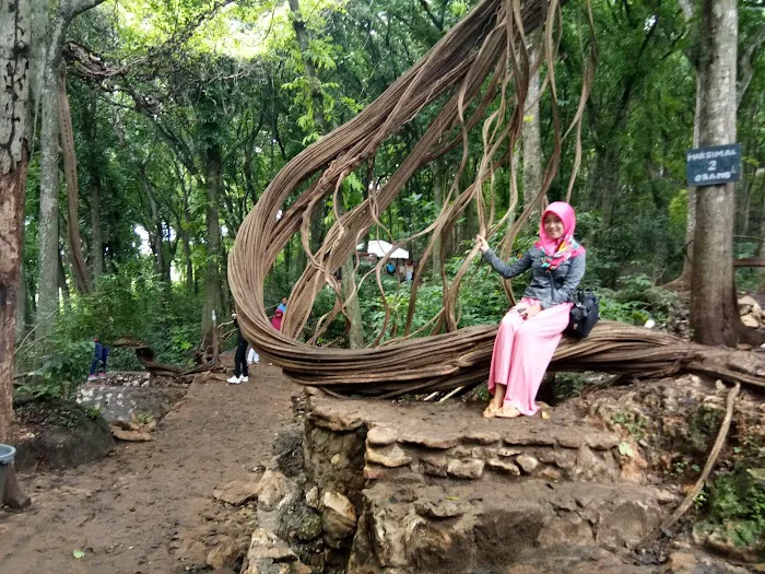 Wisata Akar Langit Trinil 2