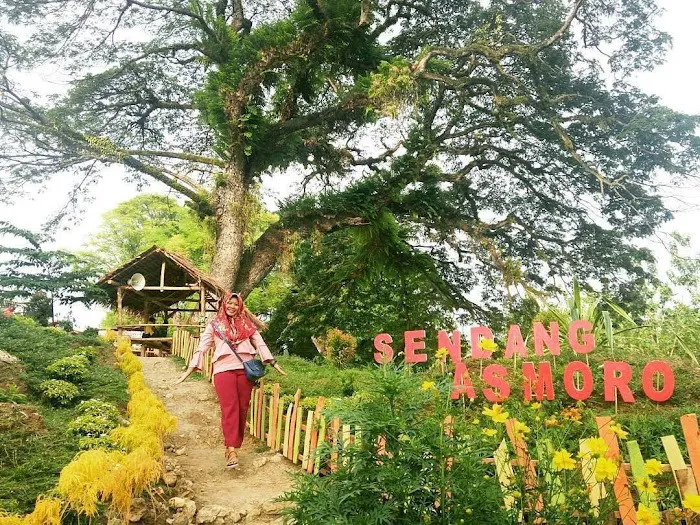 Sendang Asmoro Park 2