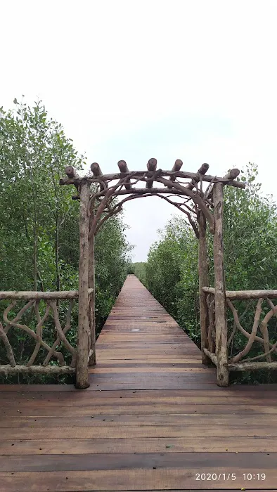 Pantai Kertomulyo 5