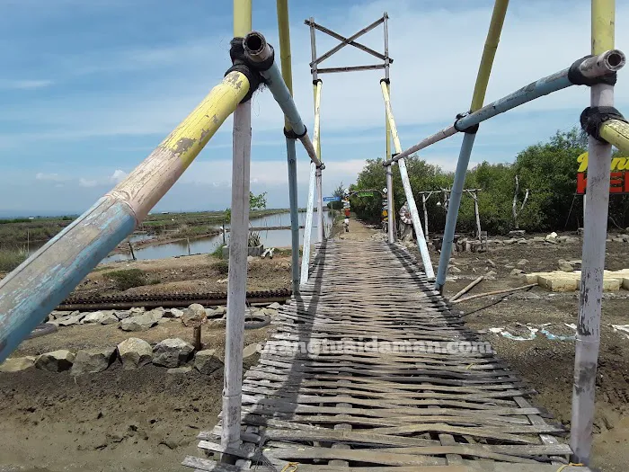 Pantai Kertomulyo 6